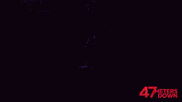 47MetersDown  GIF