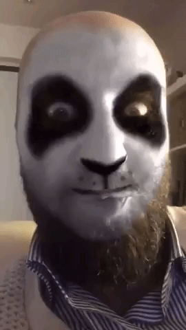 lorenzorossi beppone panda GIF