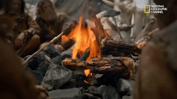 nat geo origins GIF by National Geographic Channel
