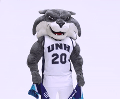 new hampshire basketball GIF by University of New Hampshire