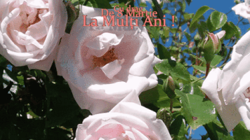 katonanicolae 8 martie la mulÅ£i ani GIF