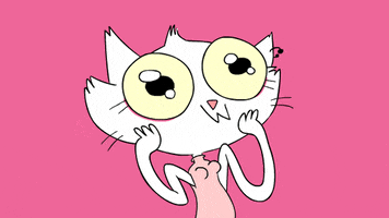 Kitty Wow GIF by sarahmaes