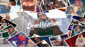 renekleveland  GIF