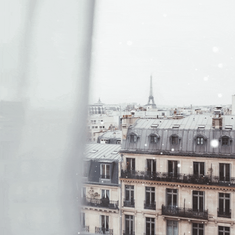 Snow Paris GIF by mylittleparis