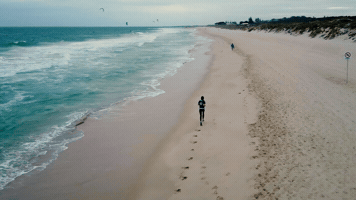 paulramondo  GIF