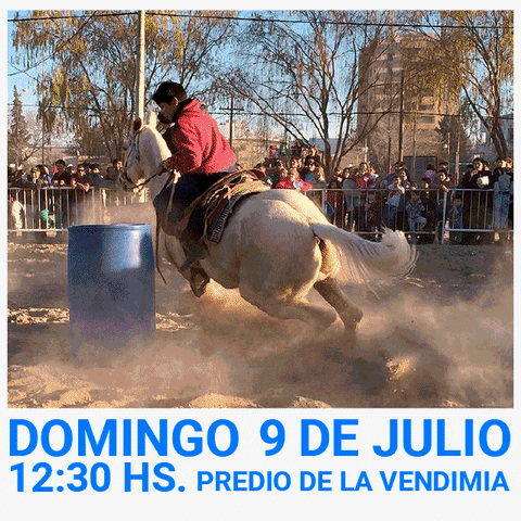 Independencia GIF by Municipalidad de Villa Regina