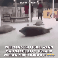 200.gif?cid=fc005b0855df34ddab64082c3585e0d680366590737a5dc6&rid=200.gif&ct=g