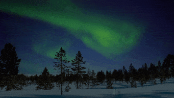200.gif?cid=fc005b08faa73ee4623c492f4d8f399c58543e45624afa95&rid=200.gif&ct=g