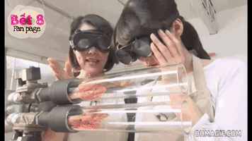 memories  GIF