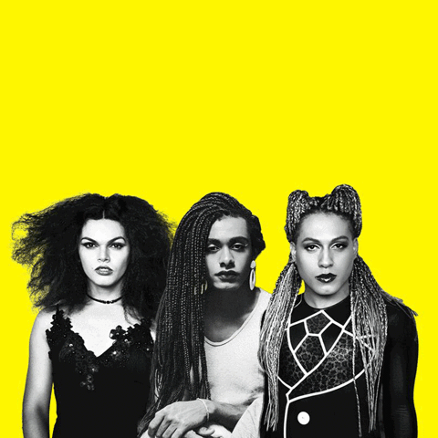 giulianomartins  GIF