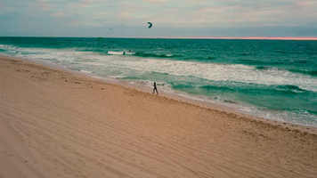 paulramondo  GIF