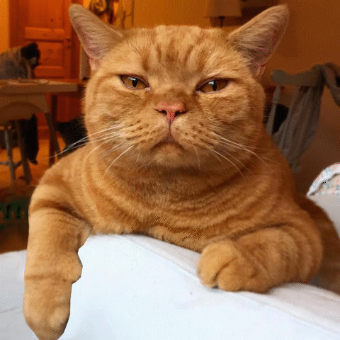 propagandacentralen  GIF