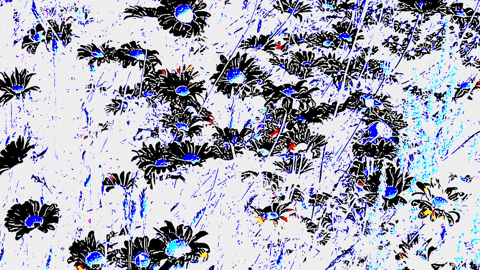 giphy.gif?cid=ecf05e47dc2jgcdncgy0ho60y2