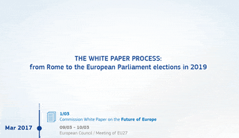 whitepaper GIF by European Commission