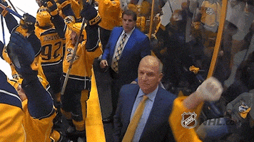 2017 stanley cup playoffs GIF by NHL