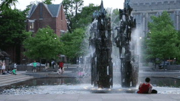 ripsnort princeton wws woodywoo fountatin GIF