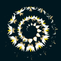 Water Lily Animation GIF by anna taberko