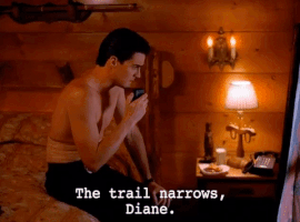 Season 2 GIF by Twin Peaks on Showtime