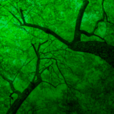 ambiente-y-sociedad  GIF