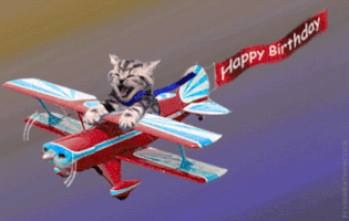 ruffleschip funny cat animation birthday GIF