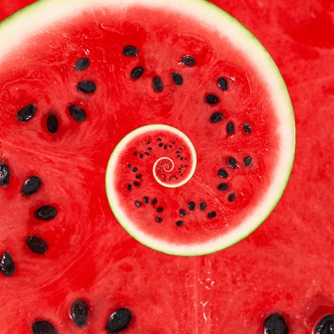 mesmerizing fruit ninja GIF by Feliks Tomasz Konczakowski