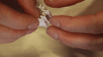 Zamnesia cannabis filter tip joint GIF