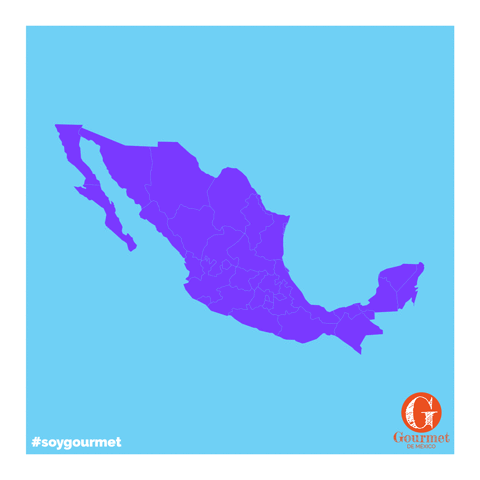 alinahernandeznavarro  GIF