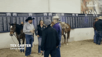 cowboys GIF by Dead Set on Life