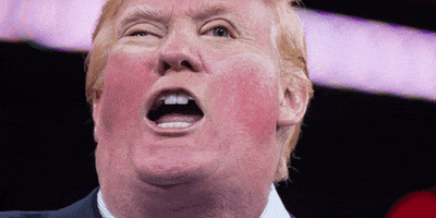 trump crazy mouth mumble GIF by Leroy Patterson