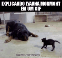 leonardoaraujo  GIF