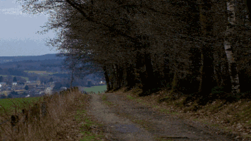 wax animation vielsalm goronne rencheux GIF