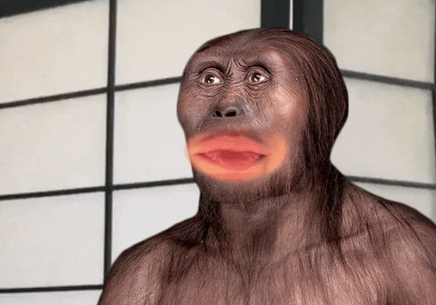 Australopithecus Rizzs Gifs Australopithecus GIFs - Get the best GIF on GIPHY