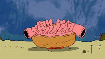 music video animation GIF by Sub Pop Records