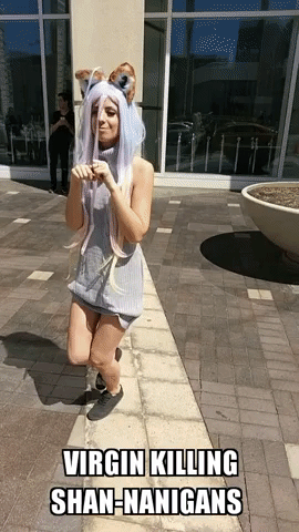 alvin29 cosplay shiro cat ears no game no life GIF