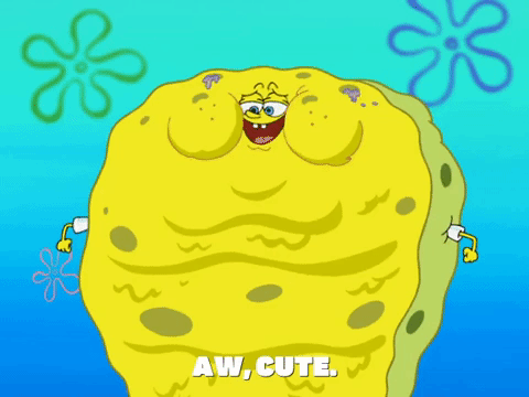 Season 7 Episode 22 Gif By Spongebob Squarepants Find Share On Giphy Season 7 Episode 22 Gif By Spongebob Squarepants Find Share On Giphy