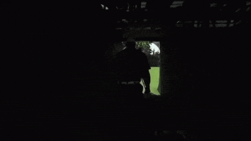 Walk Out Tiger Woods GIF by sportseditor