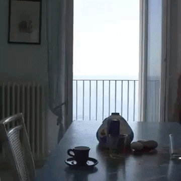 art-is-the-essence-of-life  GIF