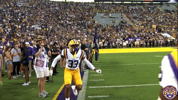 College Sports Dancing GIF by LSU Tigers