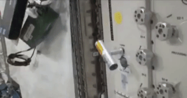 Animated GIF