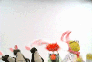 Dance Muppets GIF by Muppet Wiki