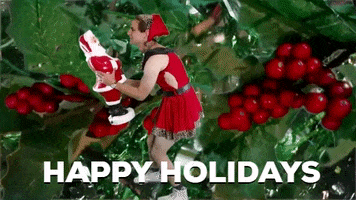 merry christmas GIF by Hardly Art