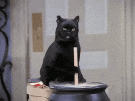 velcro  GIF