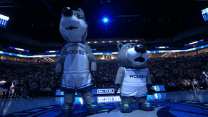 excited shake it GIF by NBA