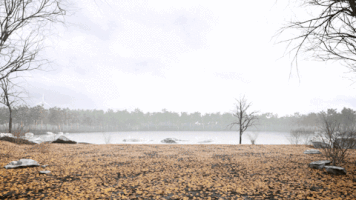 archello gotvyansky losthouse sholopova GIF