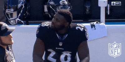 Baltimore Ravens Whatever GIF by NFL