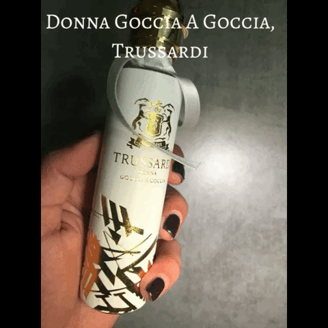 souzanakengitsi  GIF