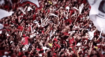 clube de regatas do flamengo soccer GIF by Flamengo