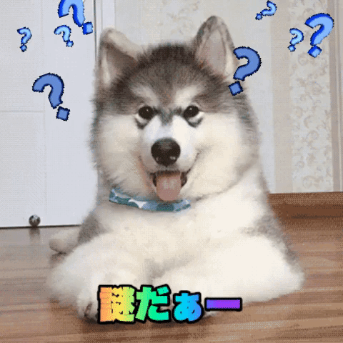 confused question mark GIF