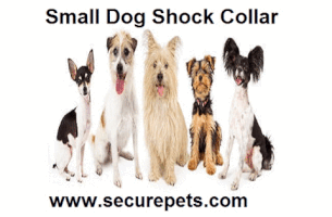 securepets small dog shock collar GIF