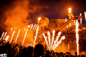 music festival fire GIF by Insomniac Events